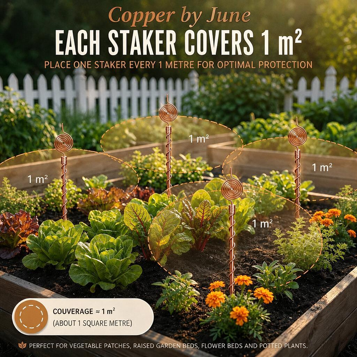 June's Pure Copper Garden Antenna Spiral