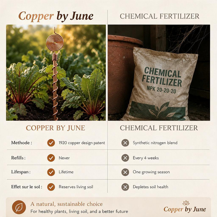 June's Pure Copper Garden Antenna Spiral
