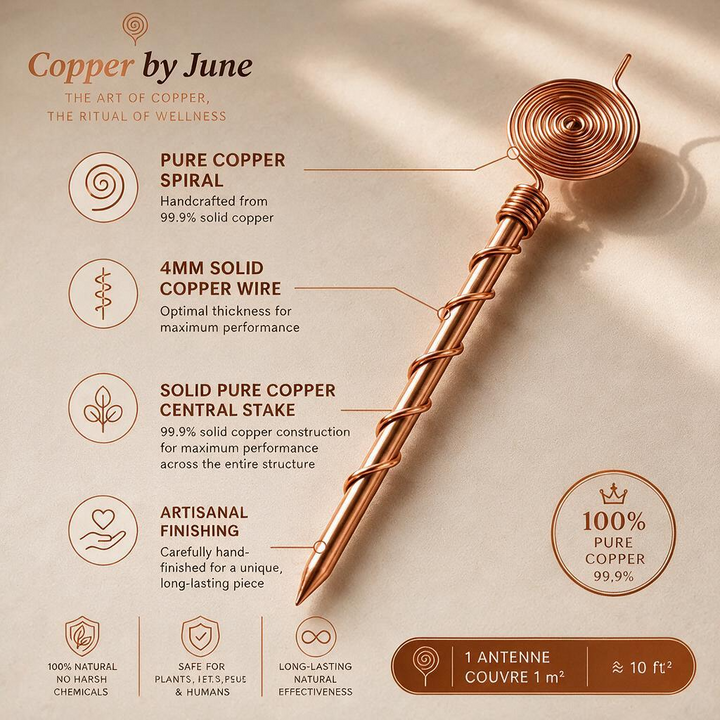 June's Pure Copper Garden Antenna Spiral